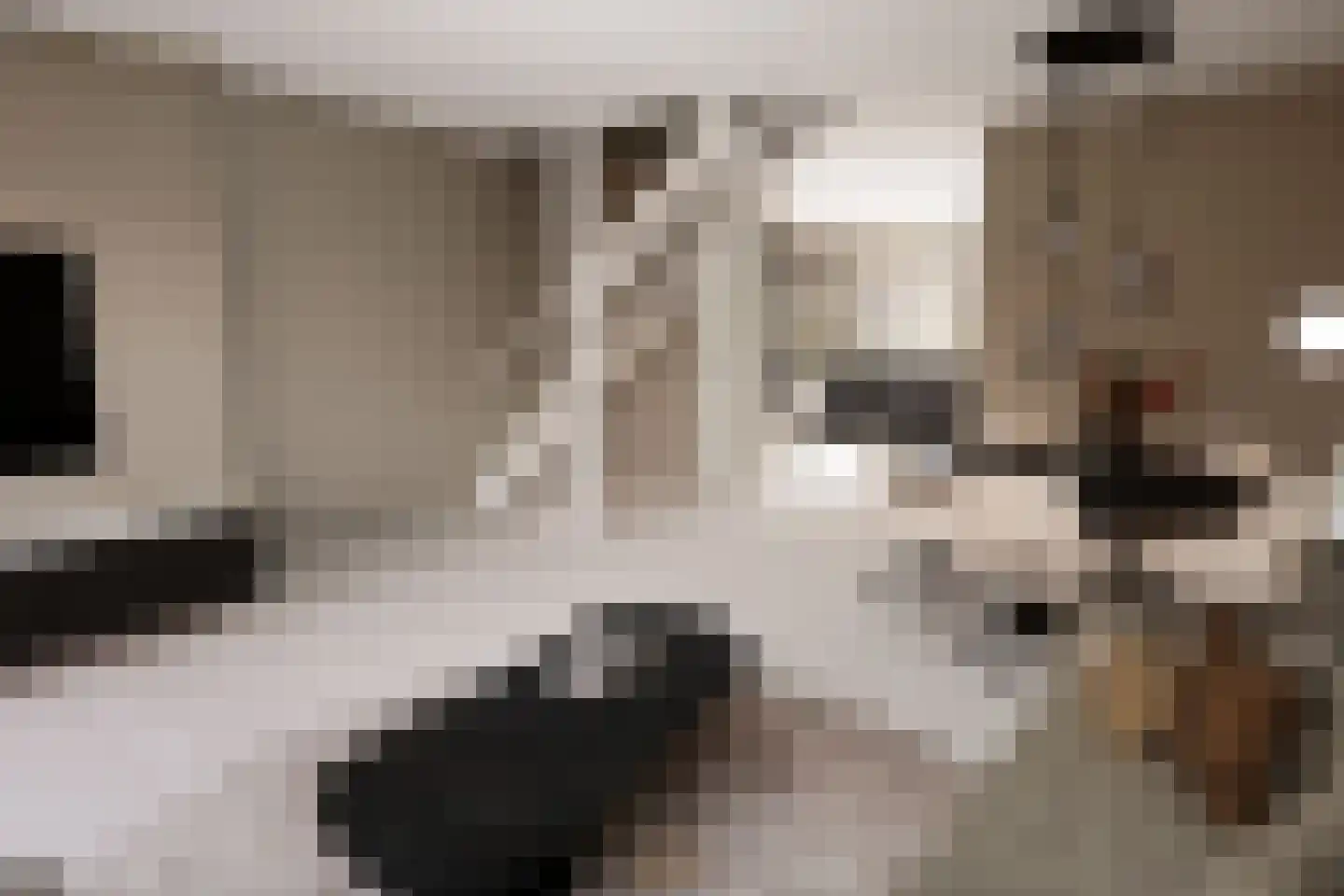 Herenstraat 28 Monster thumbnail 6