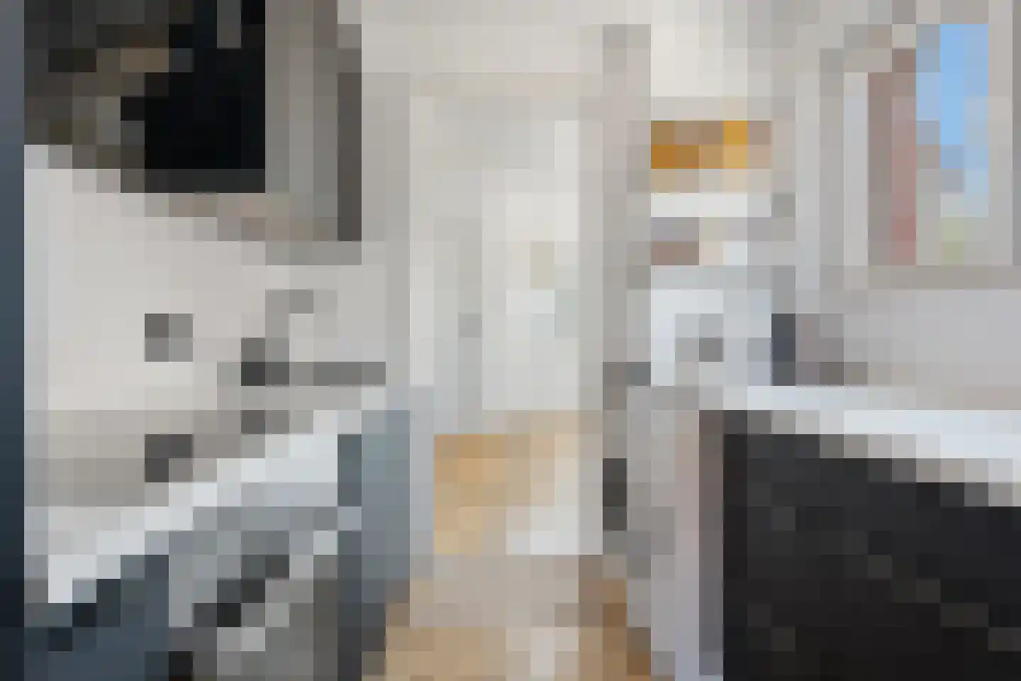 Herenstraat 28 Sappemeer thumbnail 14