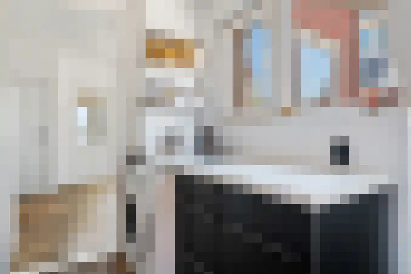 Herenstraat 28 Sappemeer thumbnail 15
