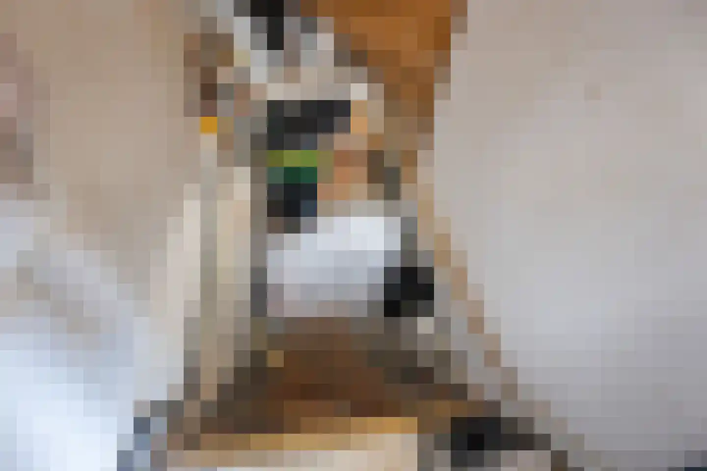 Herenstraat 28 Sappemeer thumbnail 16