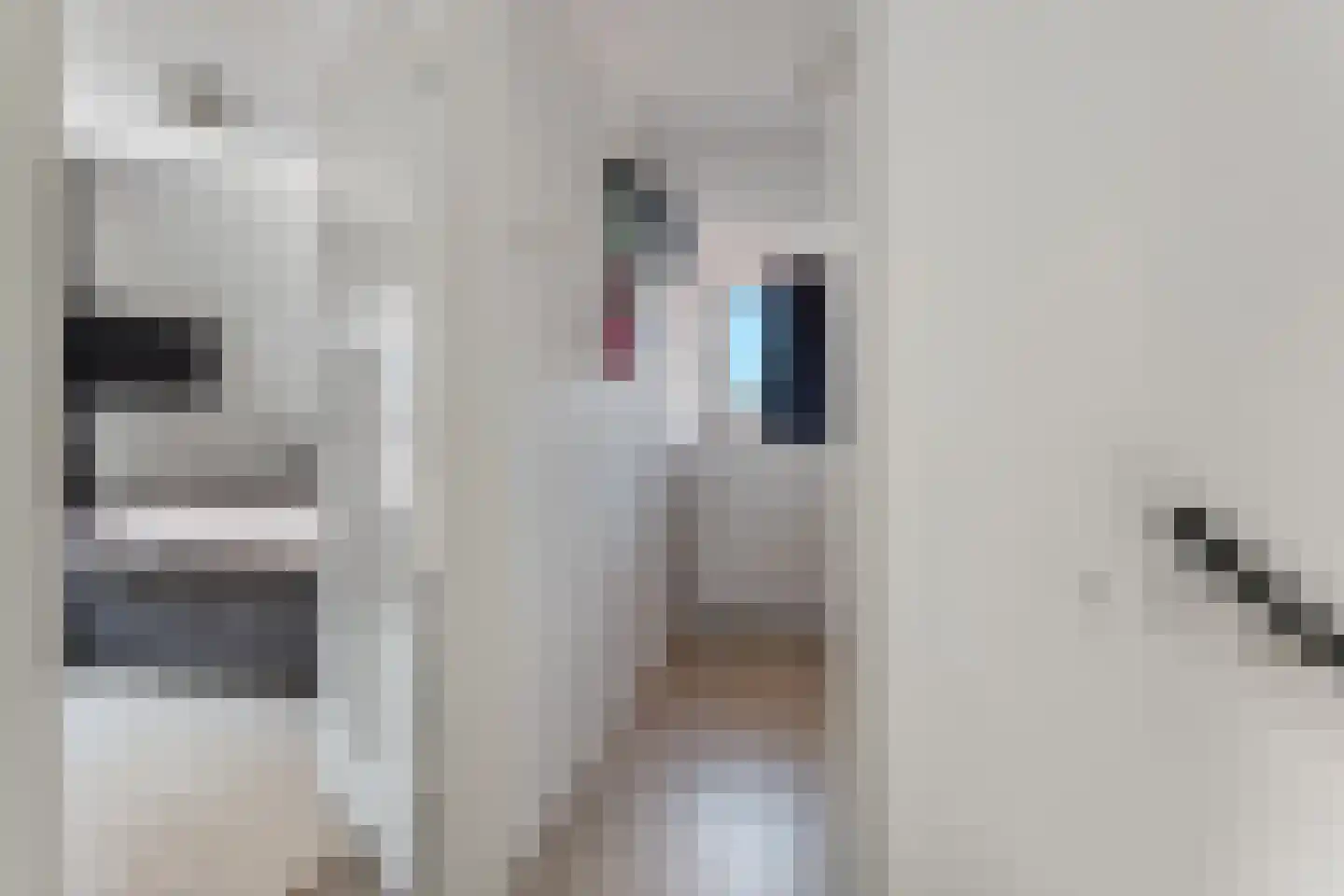 Herenstraat 28 Sappemeer thumbnail 17