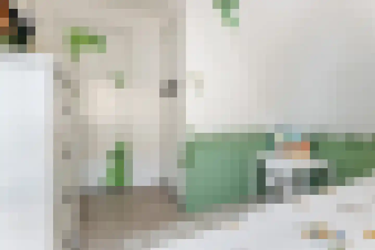 Herenstraat 28 Sappemeer thumbnail 21