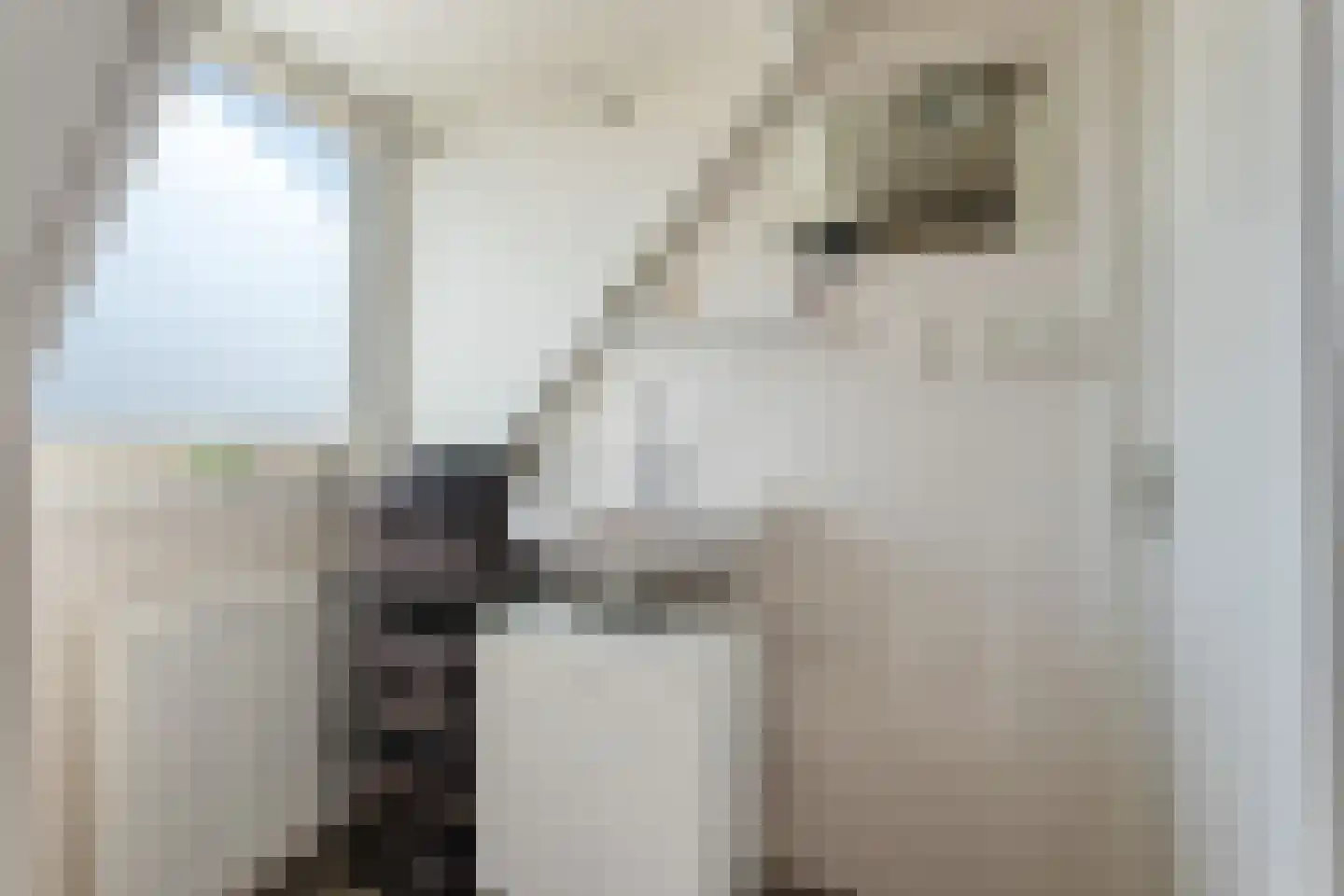 Herenstraat 28 Sappemeer thumbnail 25