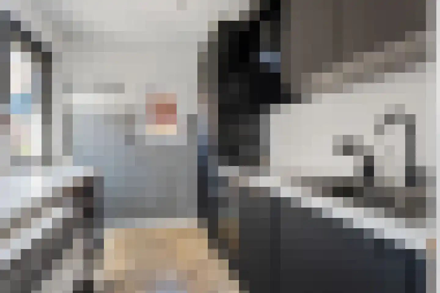 Herenstraat 28 Sappemeer thumbnail 5