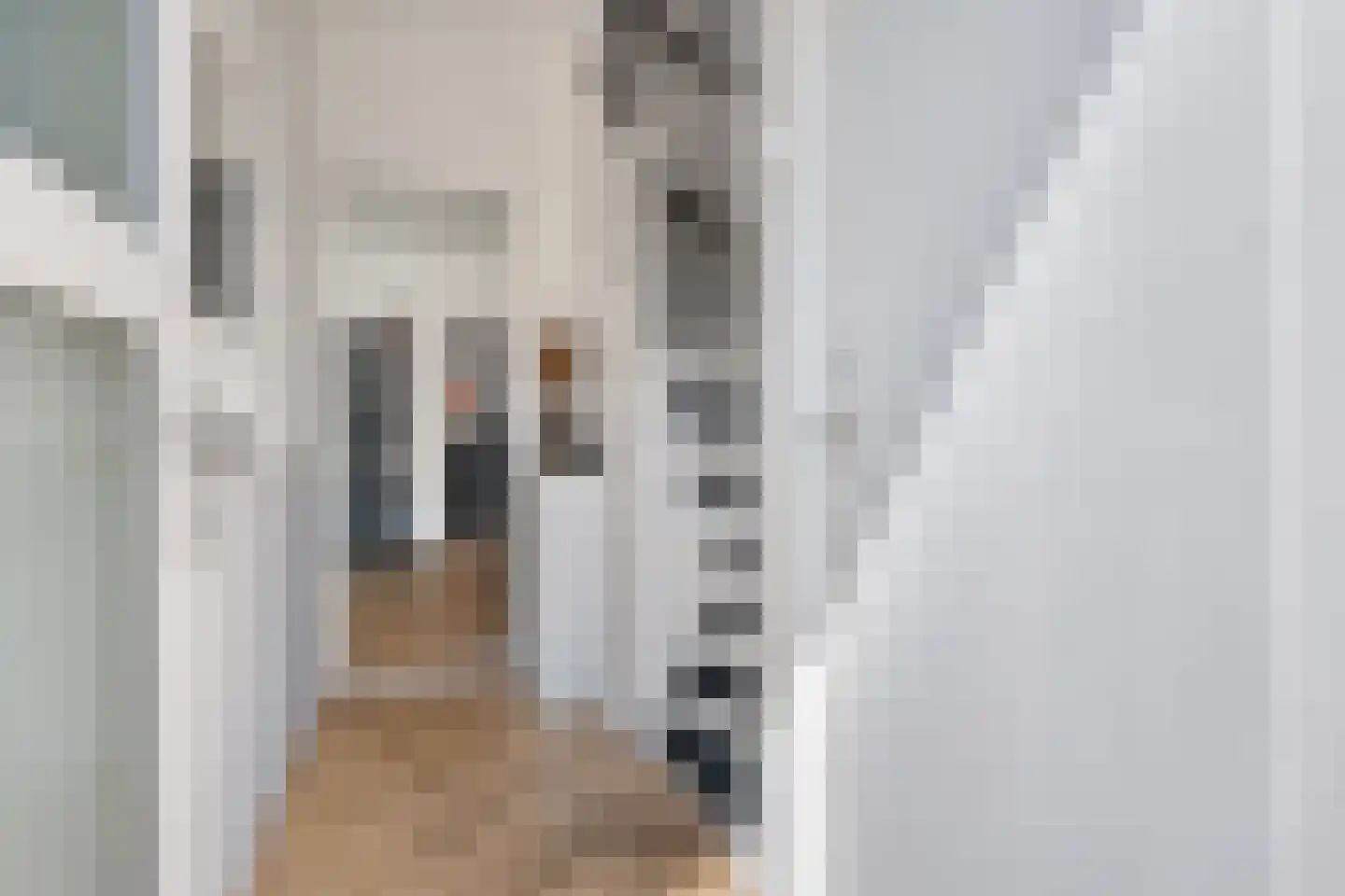 Herenstraat 28 Sappemeer thumbnail 7