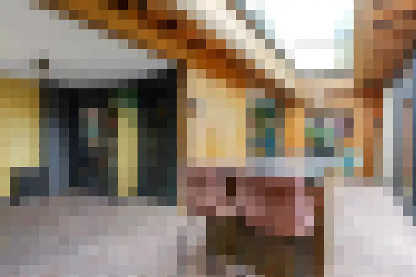 Herenstraat 28 Werkhoven thumbnail 11