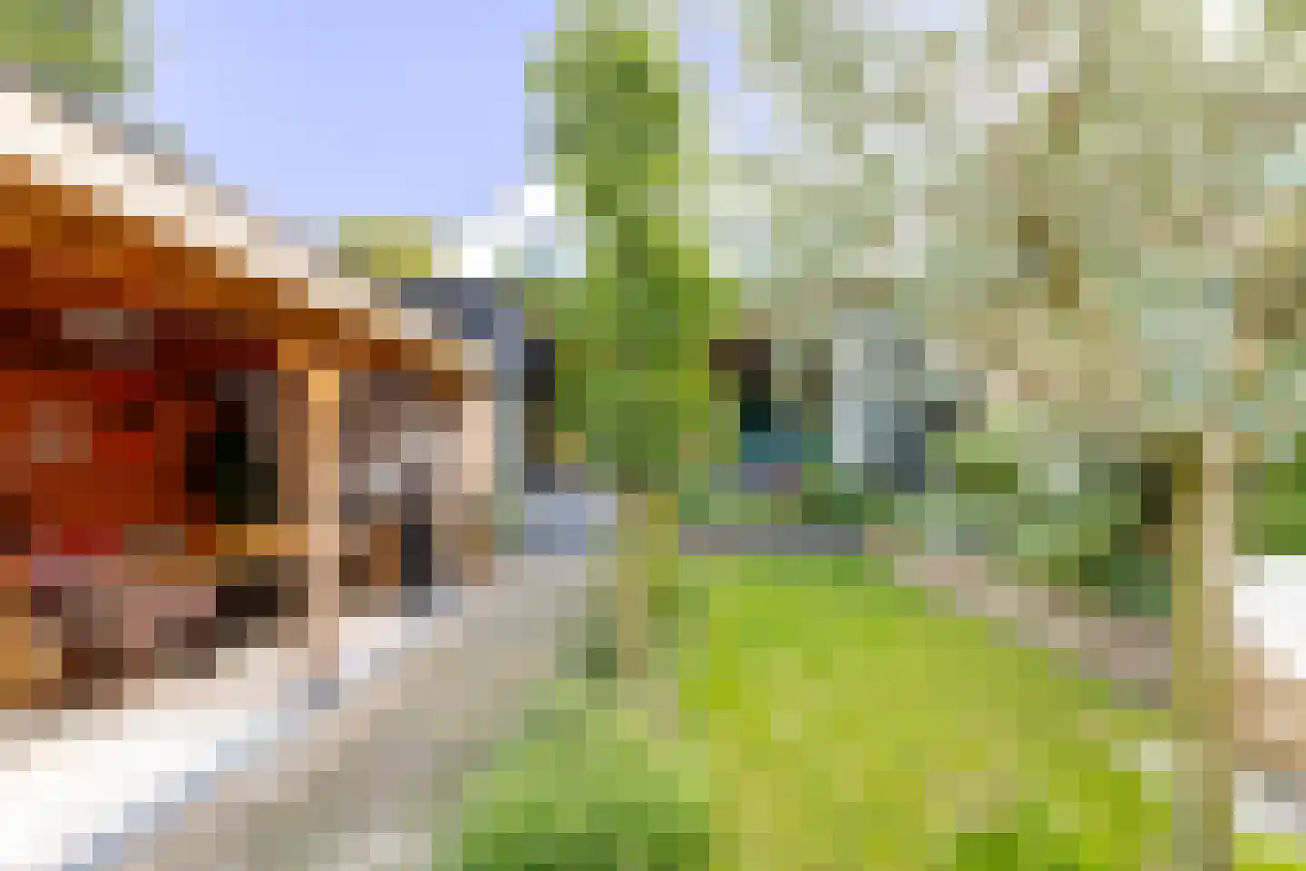 Herenstraat 28 Werkhoven thumbnail 34