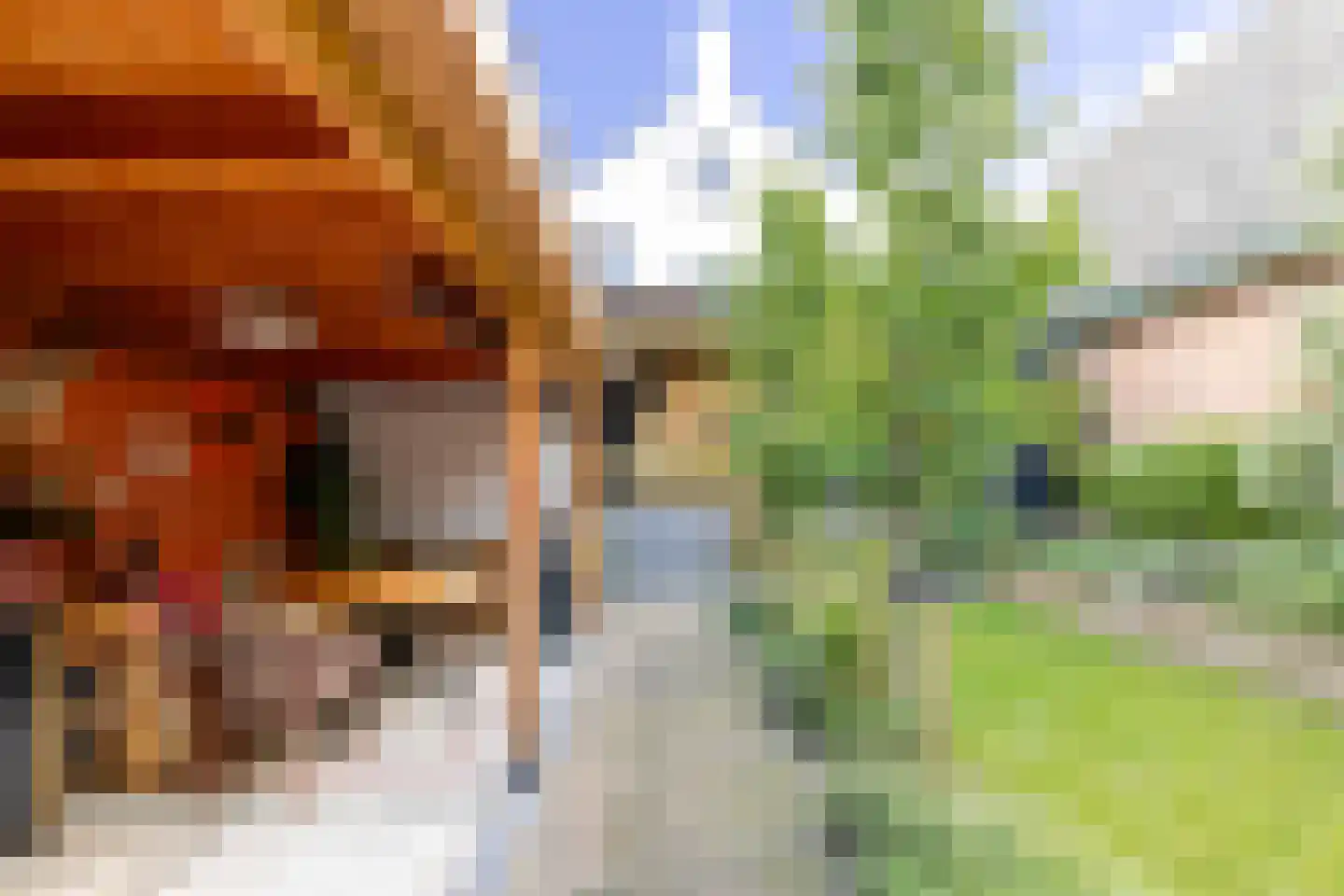 Herenstraat 28 Werkhoven thumbnail 35