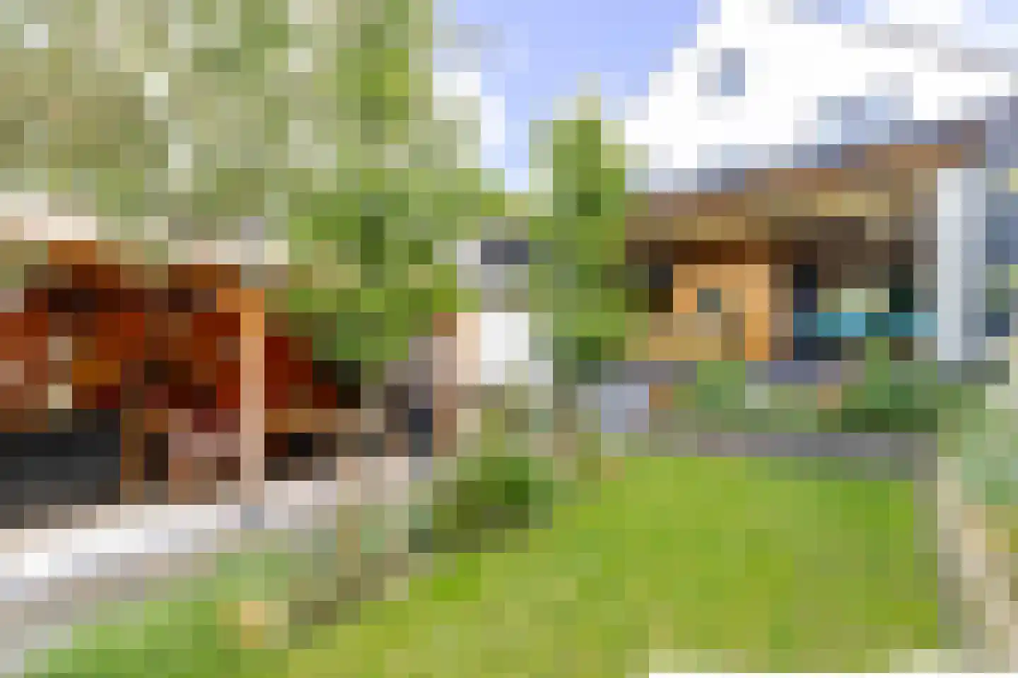 Herenstraat 28 Werkhoven thumbnail 5