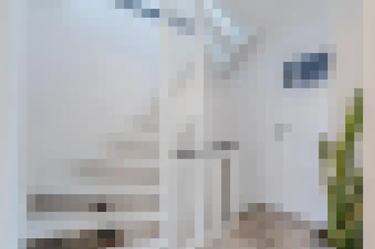Herenstraat 3 Zaandam thumbnail 32