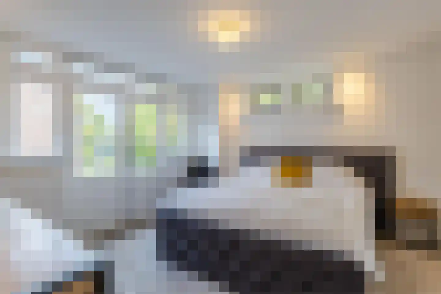 Herenstraat 3 Zaandam thumbnail 33