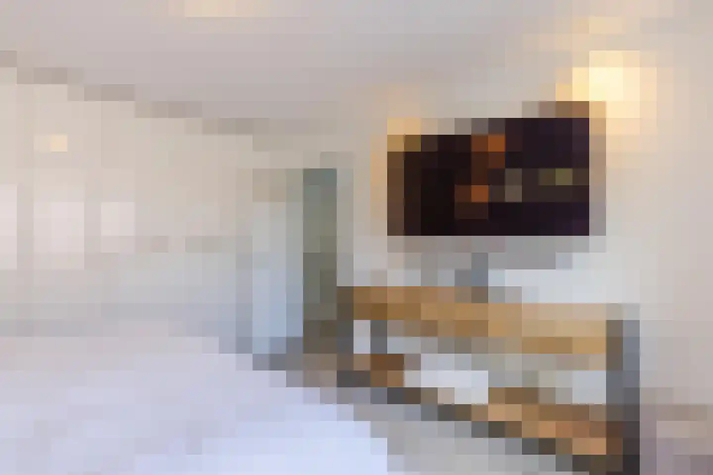 Herenstraat 3 Zaandam thumbnail 34
