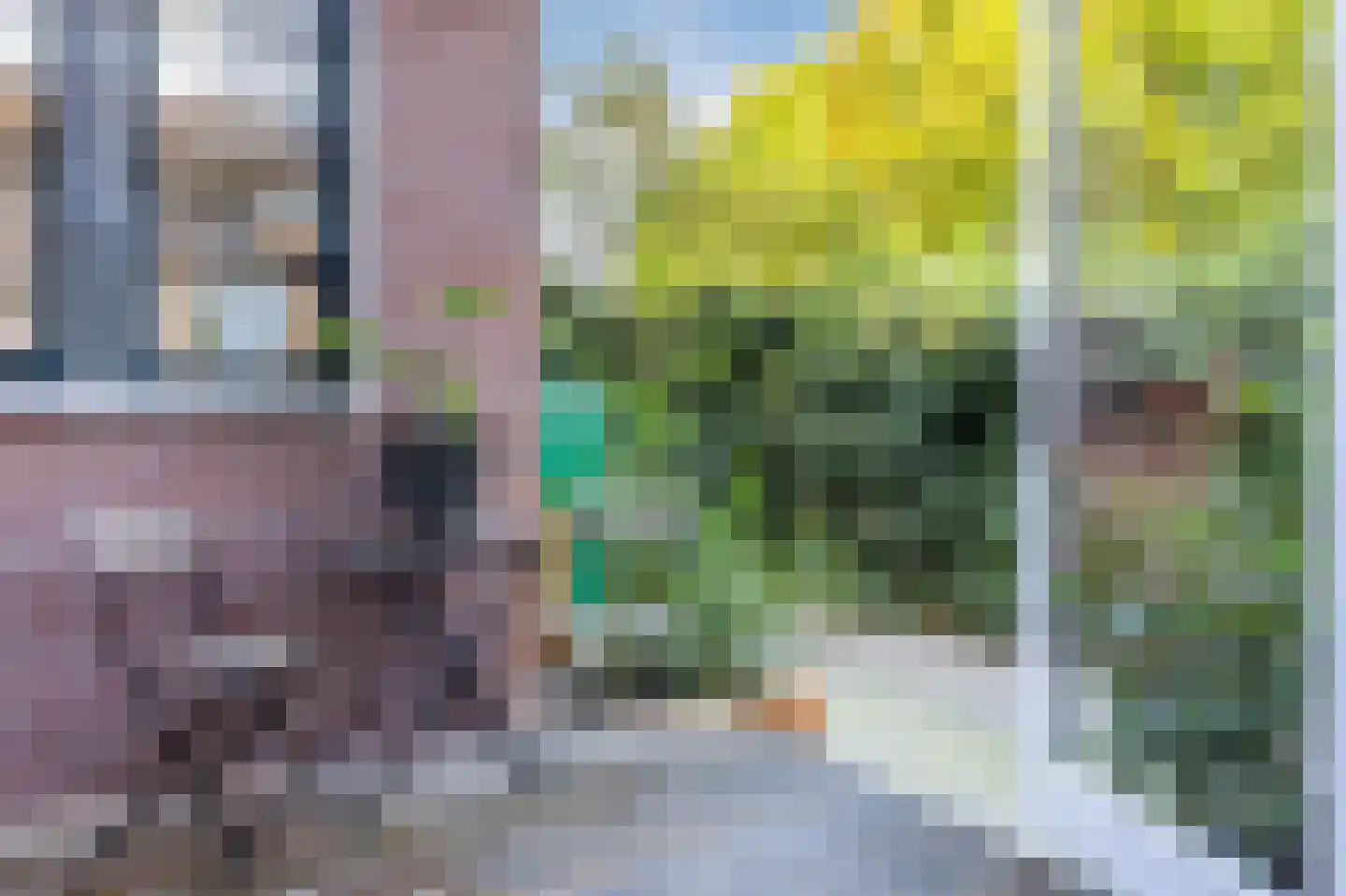 Herenstraat 3 Zaandam thumbnail 49