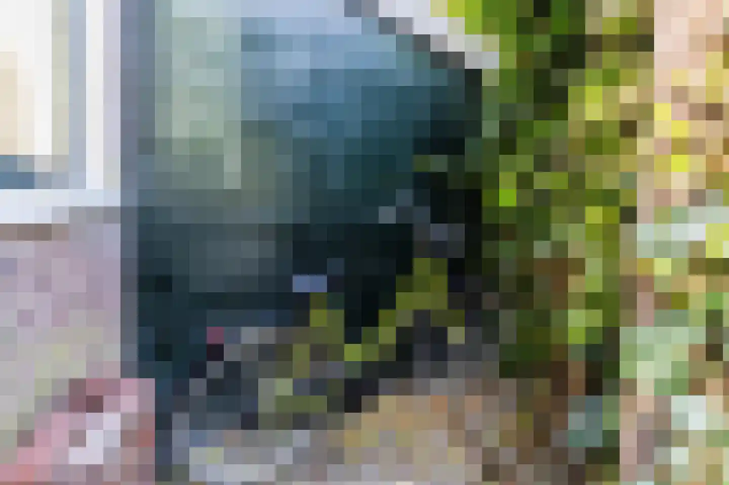 Herenstraat 3 Zaandam thumbnail 51
