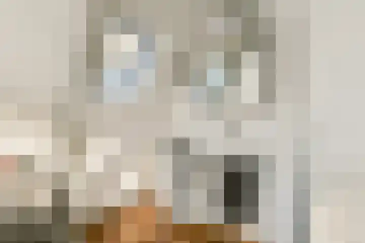 Herenstraat 32 Breukelen thumbnail 33