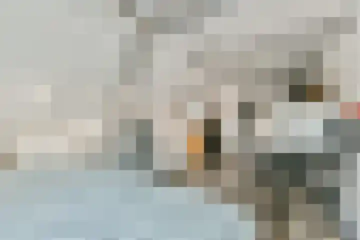 Herenstraat 32 Breukelen thumbnail 35