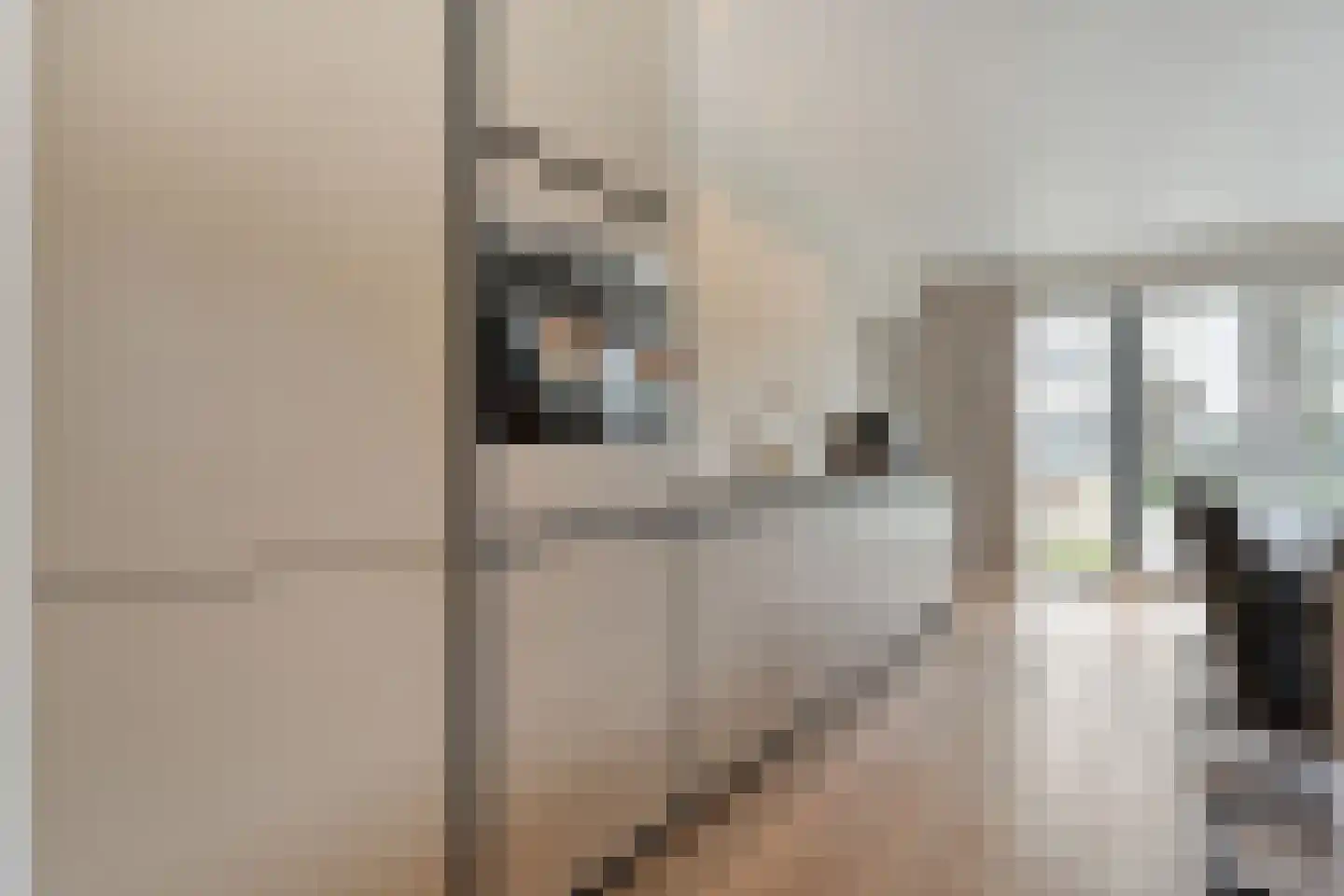 Herenstraat 33 Slagharen thumbnail 11