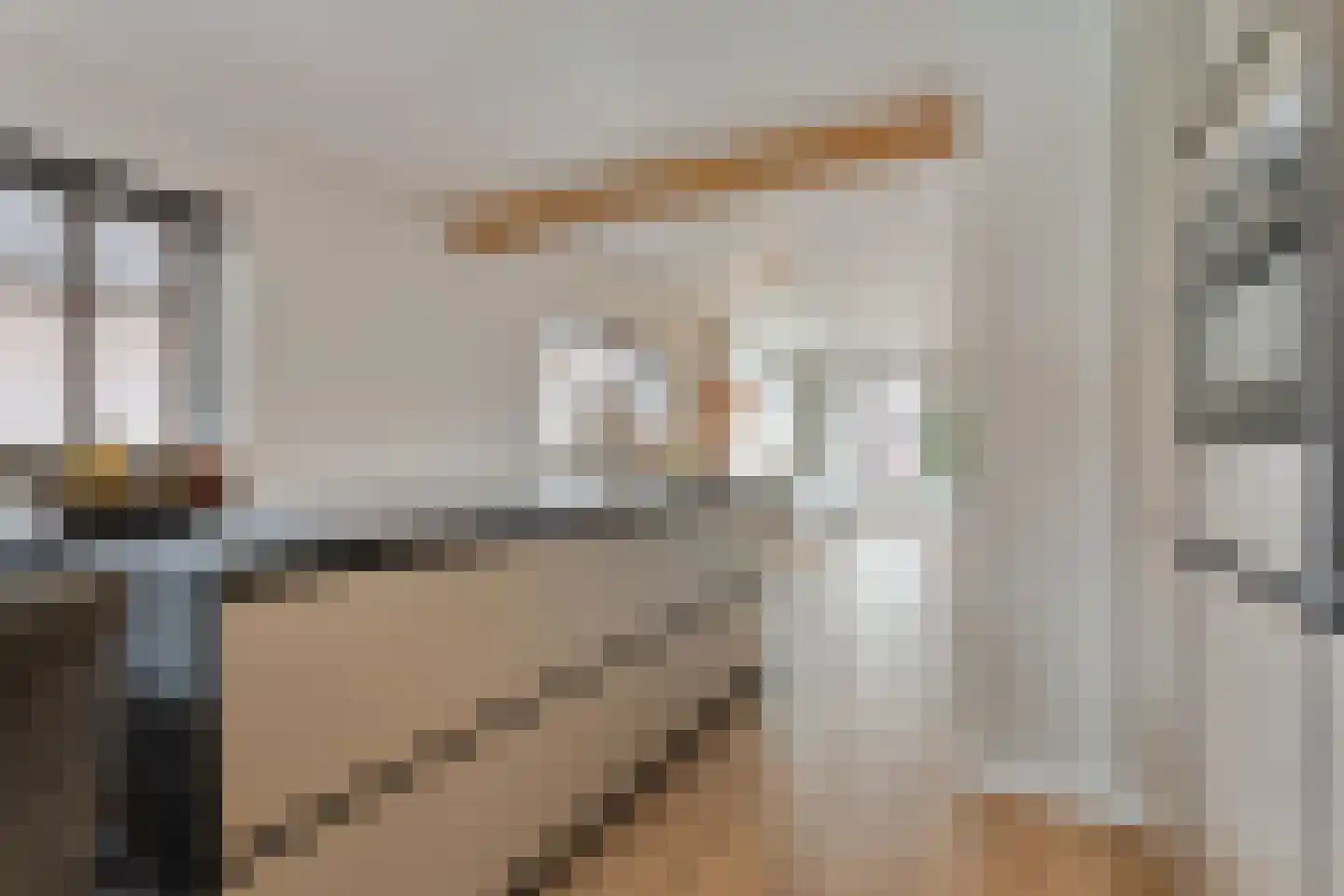 Herenstraat 33 Slagharen thumbnail 12