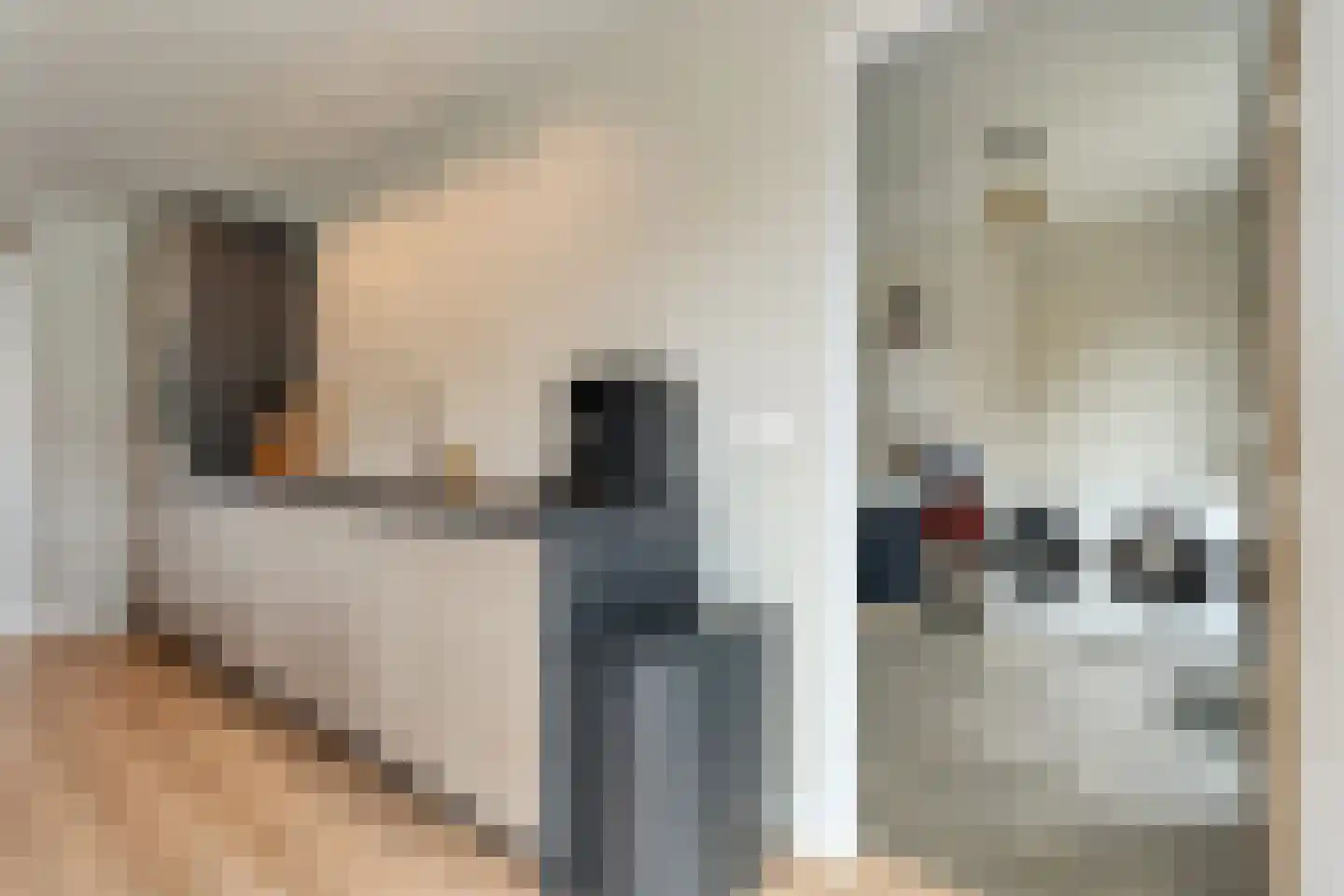 Herenstraat 33 Slagharen thumbnail 14