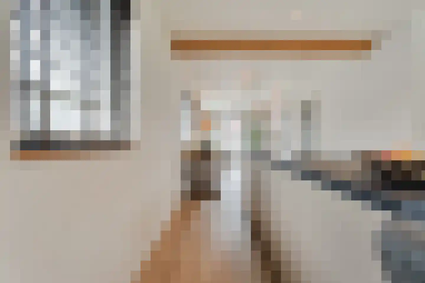 Herenstraat 33 Slagharen thumbnail 15