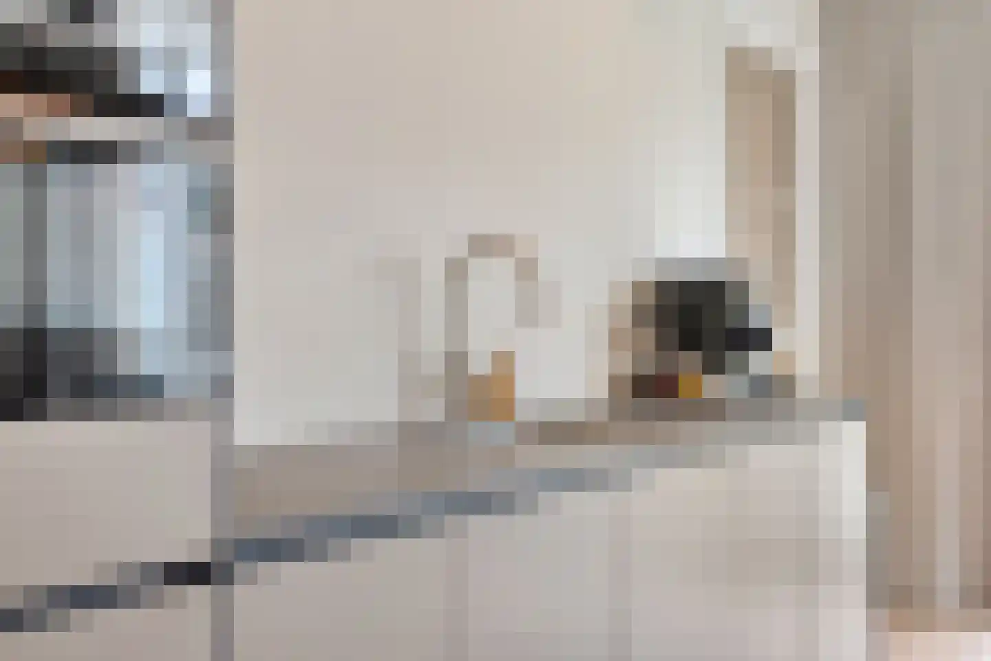 Herenstraat 33 Slagharen thumbnail 17