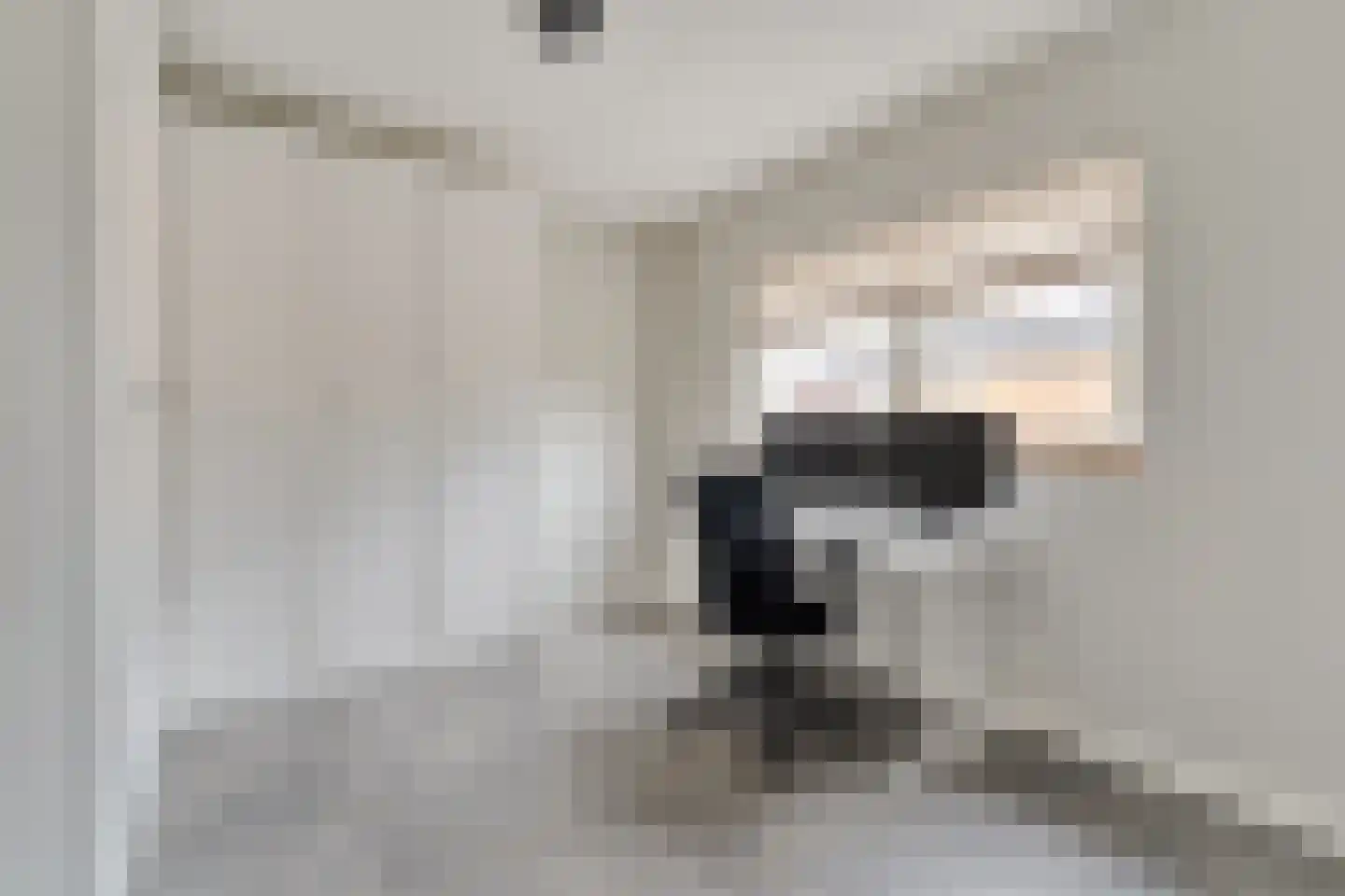 Herenstraat 33 Slagharen thumbnail 21