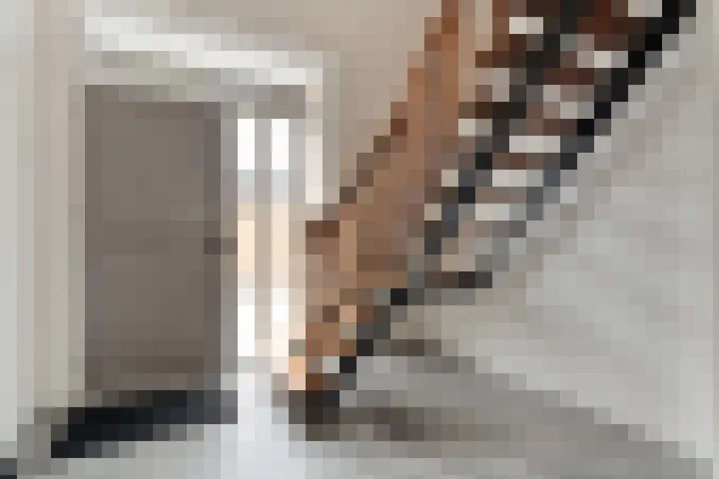 Herenstraat 33 Slagharen thumbnail 25