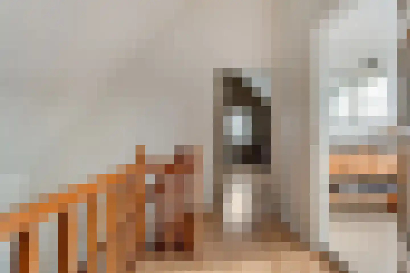 Herenstraat 33 Slagharen thumbnail 28