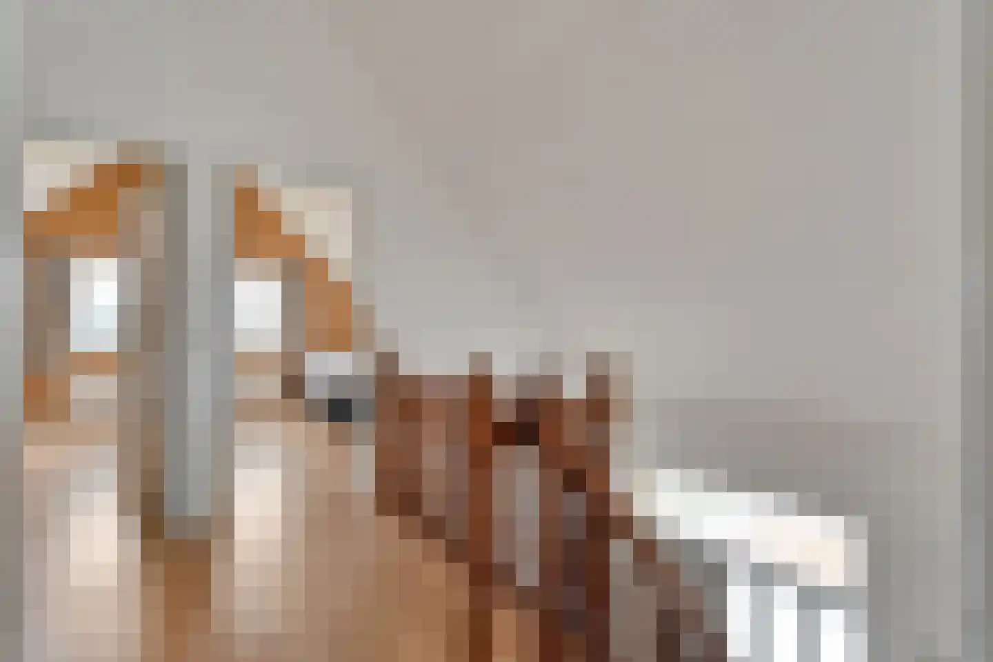 Herenstraat 33 Slagharen thumbnail 29
