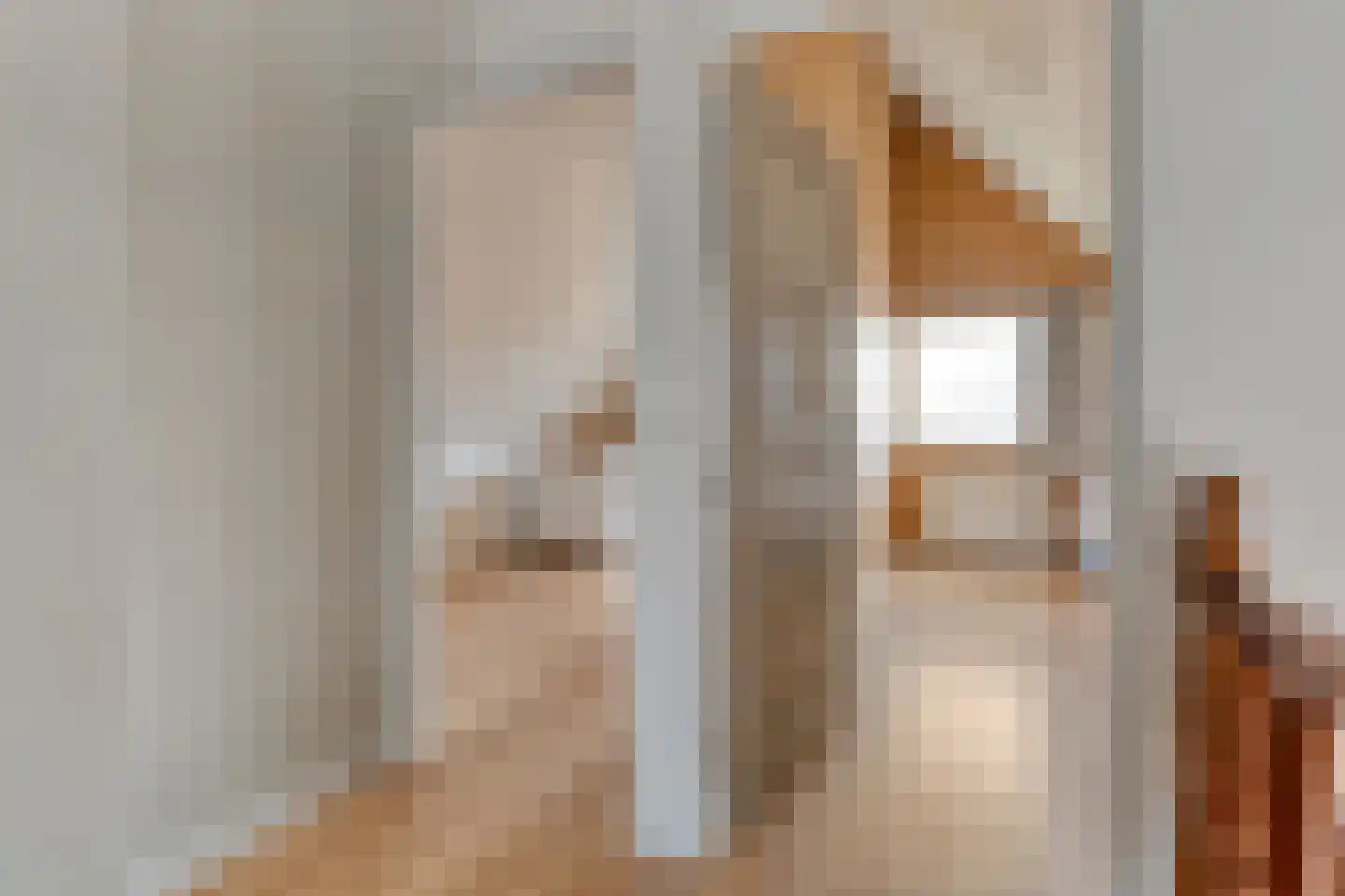 Herenstraat 33 Slagharen thumbnail 30