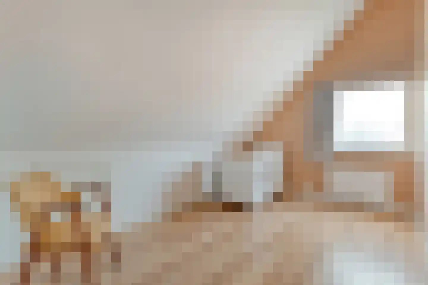 Herenstraat 33 Slagharen thumbnail 36