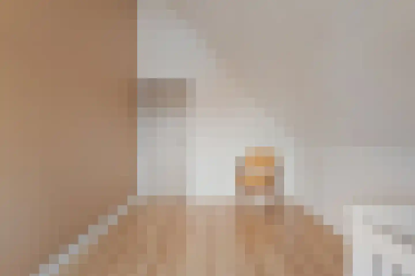 Herenstraat 33 Slagharen thumbnail 37
