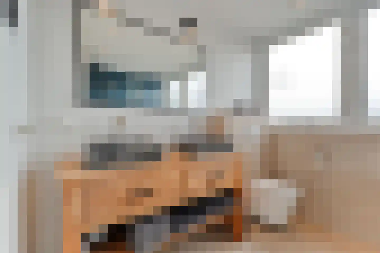Herenstraat 33 Slagharen thumbnail 39