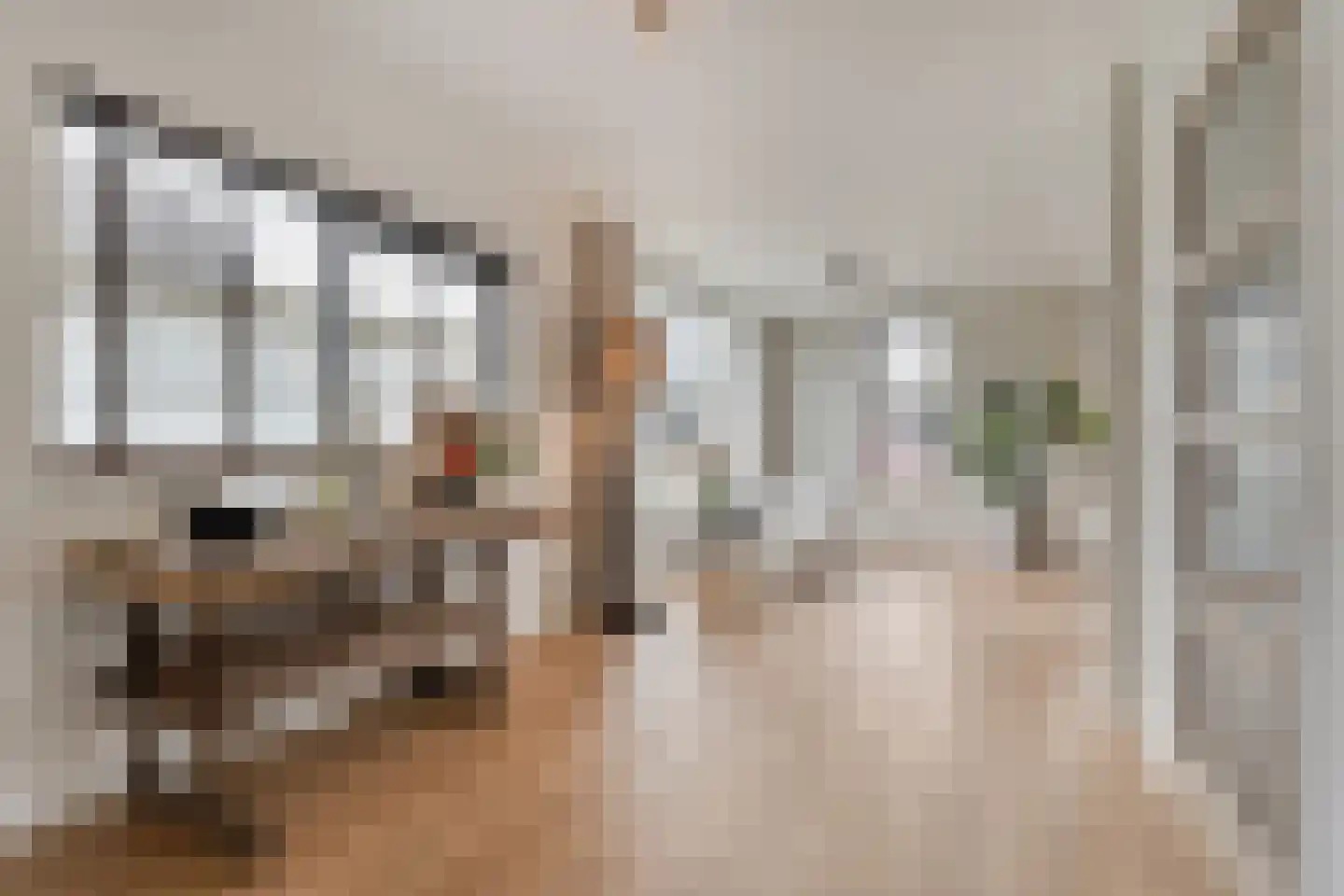 Herenstraat 33 Slagharen thumbnail 4