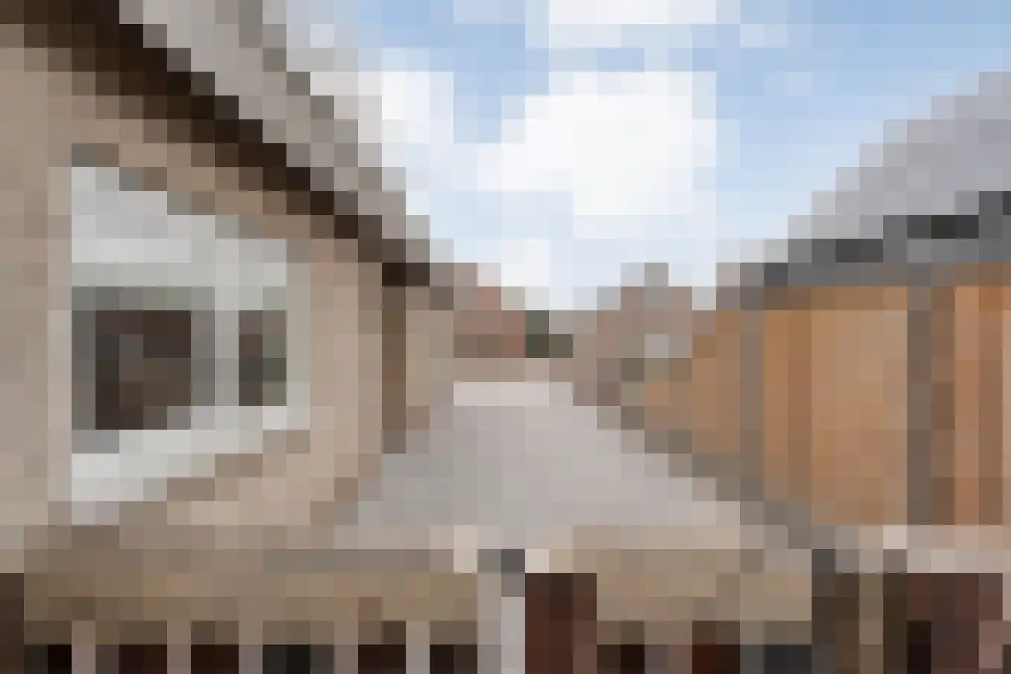 Herenstraat 33 Slagharen thumbnail 51
