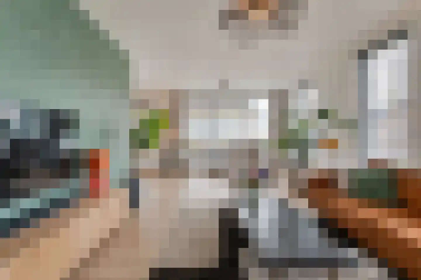 Herenstraat 33 Slagharen thumbnail 8