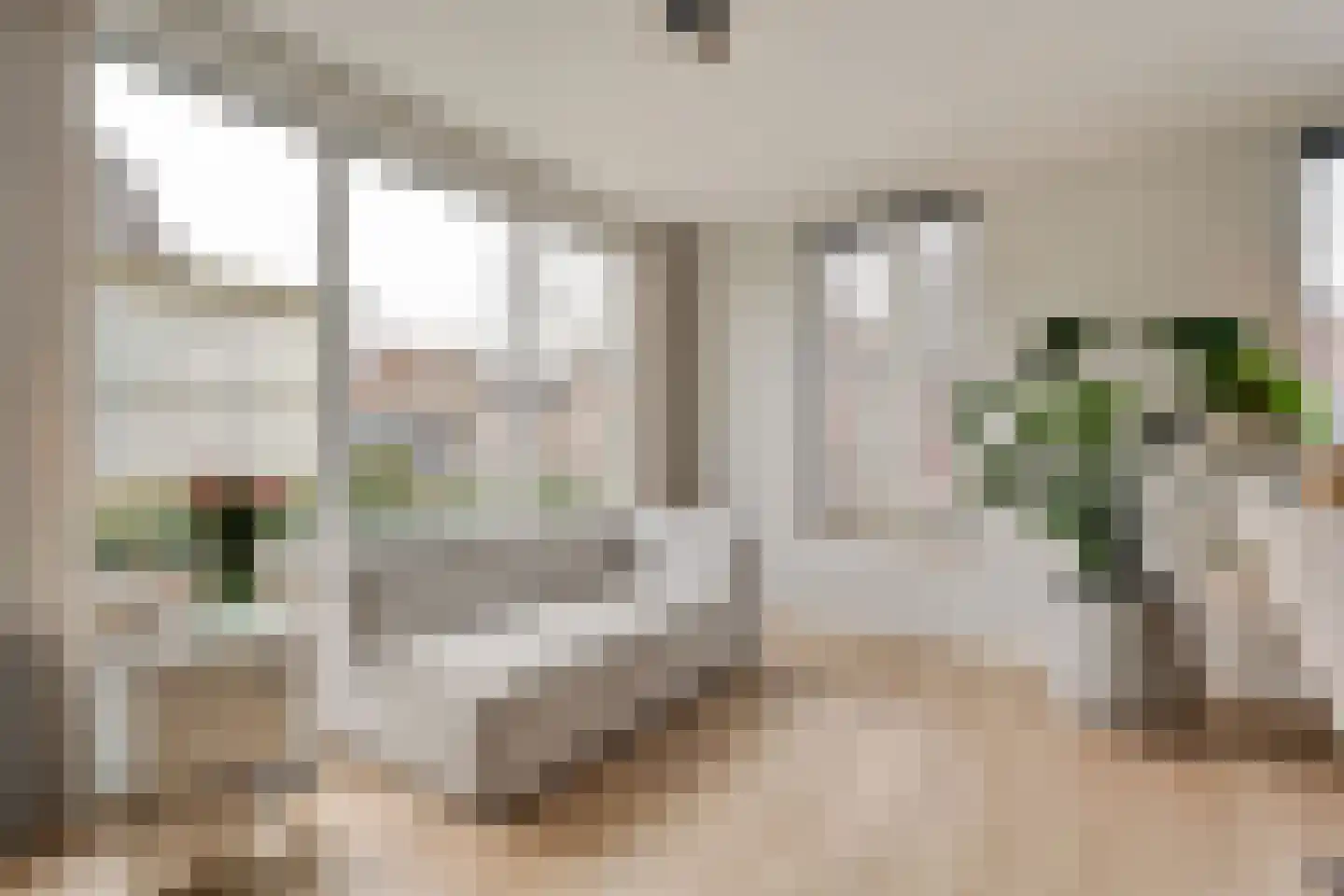 Herenstraat 33 Slagharen thumbnail 9