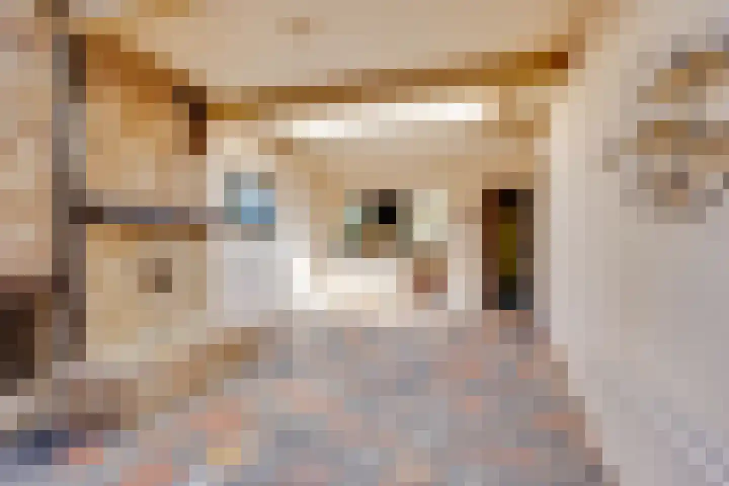 Herenstraat 36 Breukelen thumbnail 12