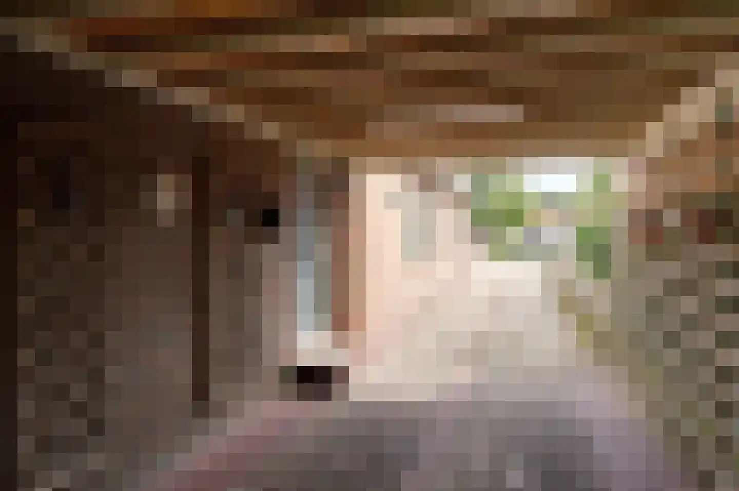 Herenstraat 36 Sappemeer thumbnail 12