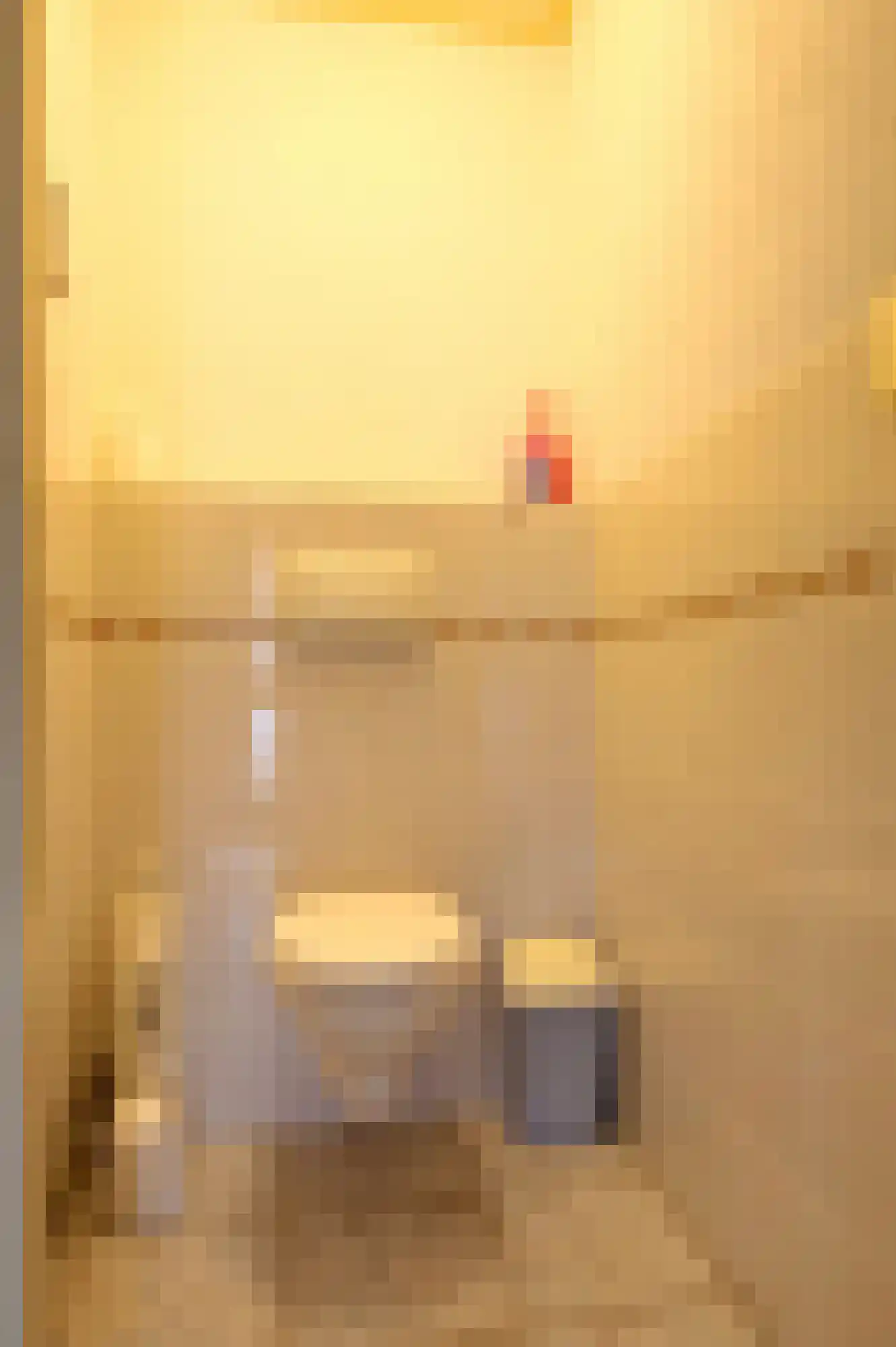 Herenstraat 36 Sappemeer thumbnail 19