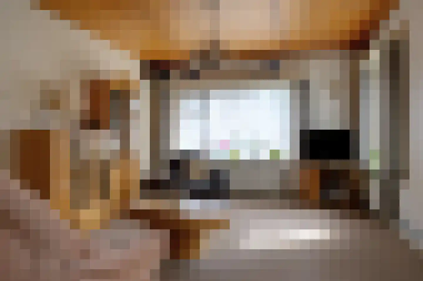 Herenstraat 36 Sappemeer thumbnail 20