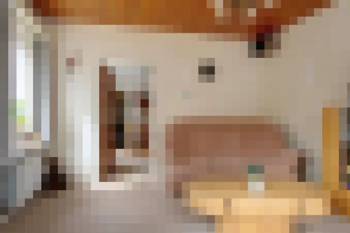 Herenstraat 36 Sappemeer thumbnail 21