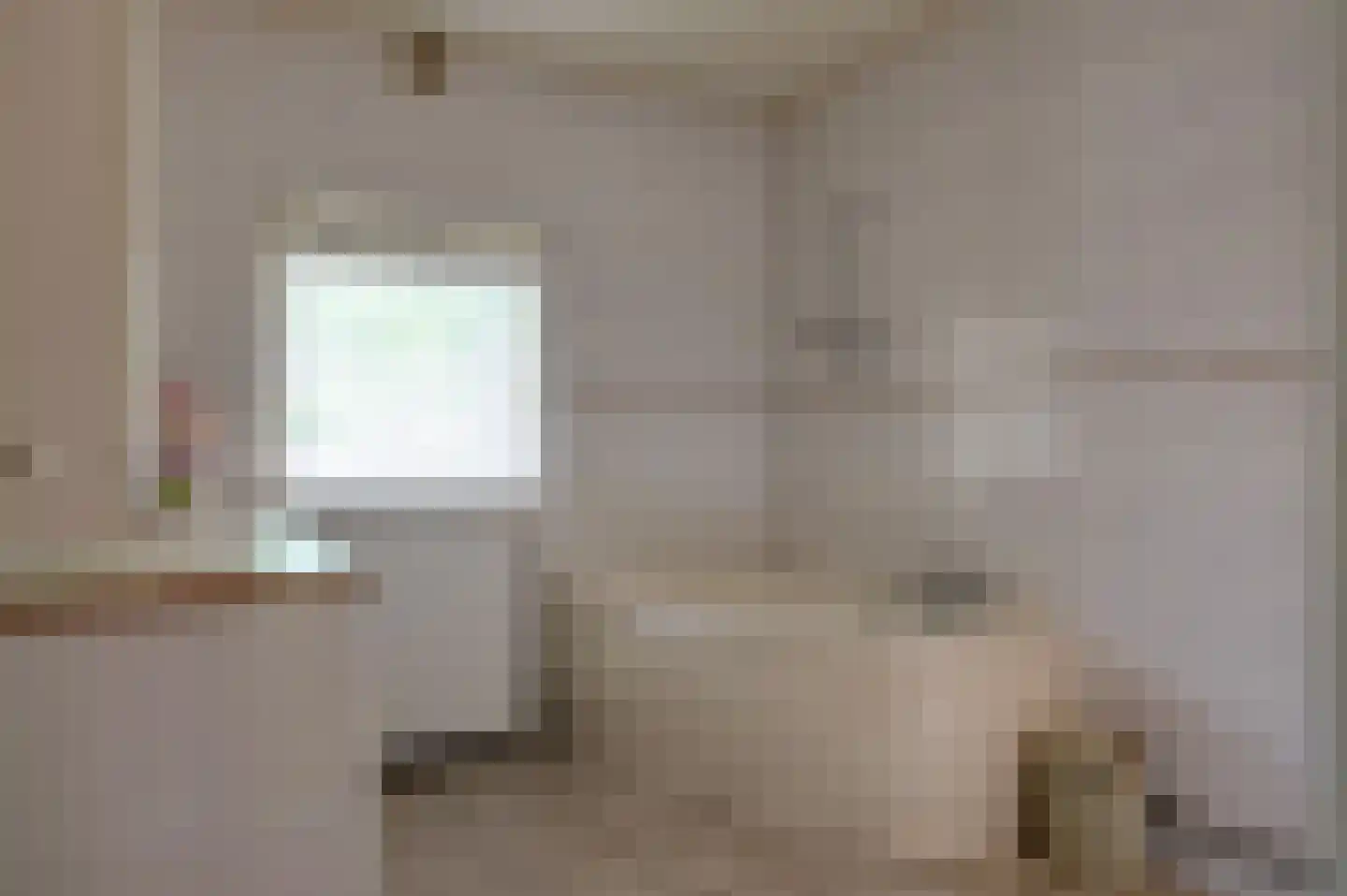 Herenstraat 36 Sappemeer thumbnail 24