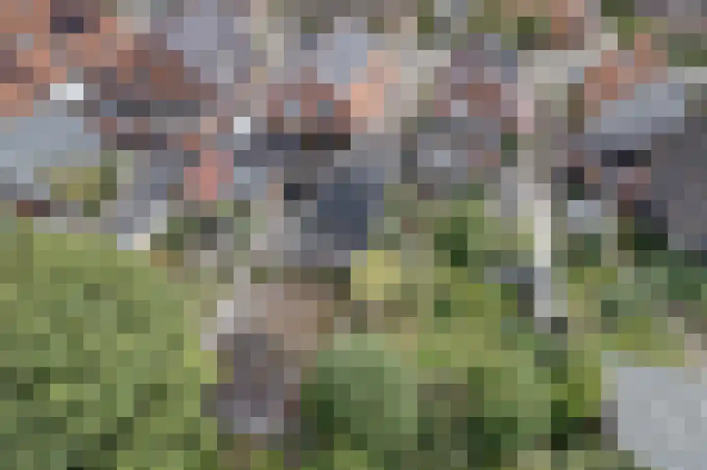 Herenstraat 36 Sappemeer thumbnail 9
