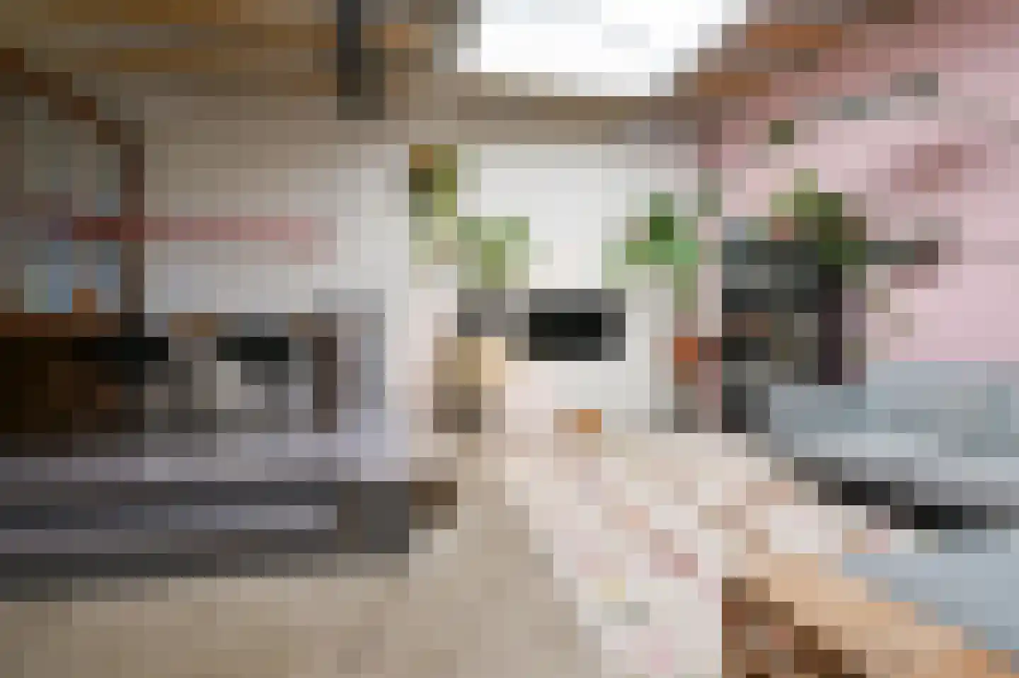 Herenstraat 37 E Hilversum thumbnail 6
