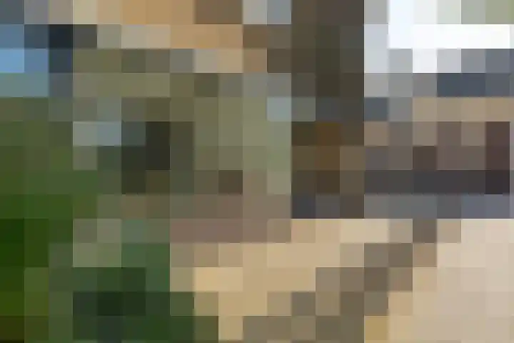 Herenstraat 41 B Hilversum thumbnail 27