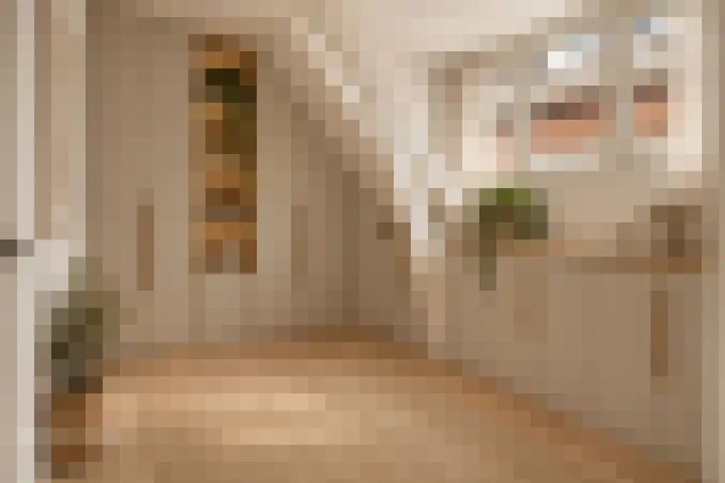 Herenstraat 41 Nieuwegein thumbnail 7