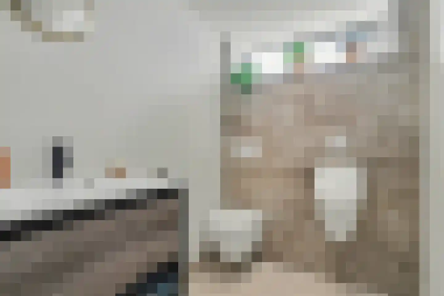 Herenstraat 44 B Monster thumbnail 30