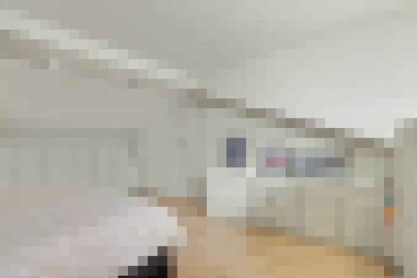 Herenstraat 44 B Monster thumbnail 36