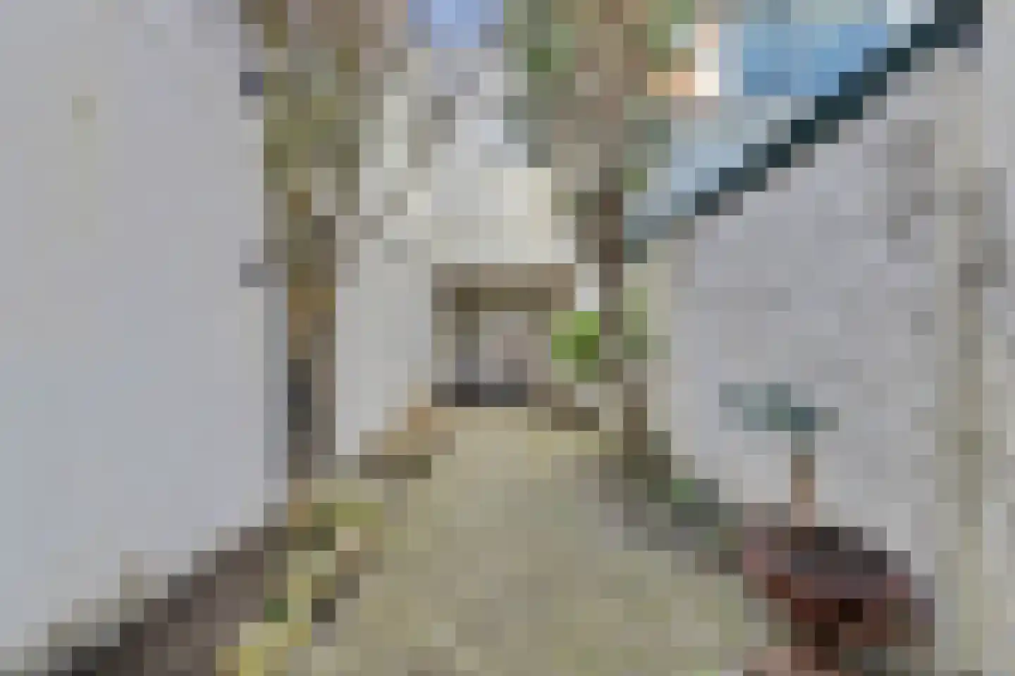 Herenstraat 44 B Monster thumbnail 39